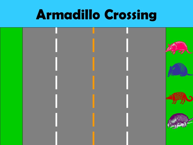 Armadillo Crossing